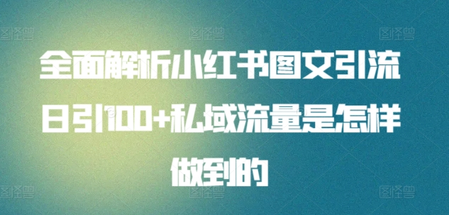 暴力引流 小红书图文引流日引100私域全面拆解【打粉人必看】大圣网创吧-网创项目资源站-副业项目-创业项目-搞钱项目网创吧