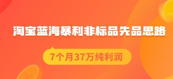 盗坤淘宝蓝海暴利非标品先品思路，7个月37万纯利润，压箱干货分享！【付费文章】大圣网创吧-网创项目资源站-副业项目-创业项目-搞钱项目网创吧
