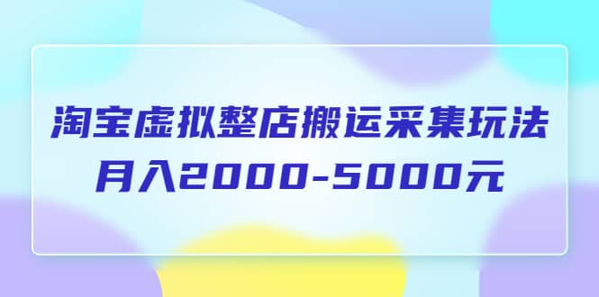淘宝虚拟整店搬运采集玩法分享课：月入2000-5000元（5节课）大圣网创吧-网创项目资源站-副业项目-创业项目-搞钱项目网创吧