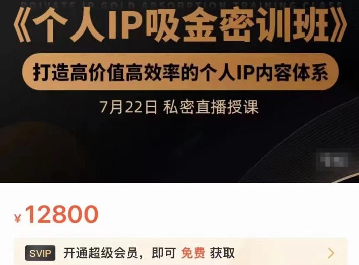 个人IP吸金密训班，打造高价值高效率的个人IP内容体系（价值12800元）大圣网创吧-网创项目资源站-副业项目-创业项目-搞钱项目网创吧