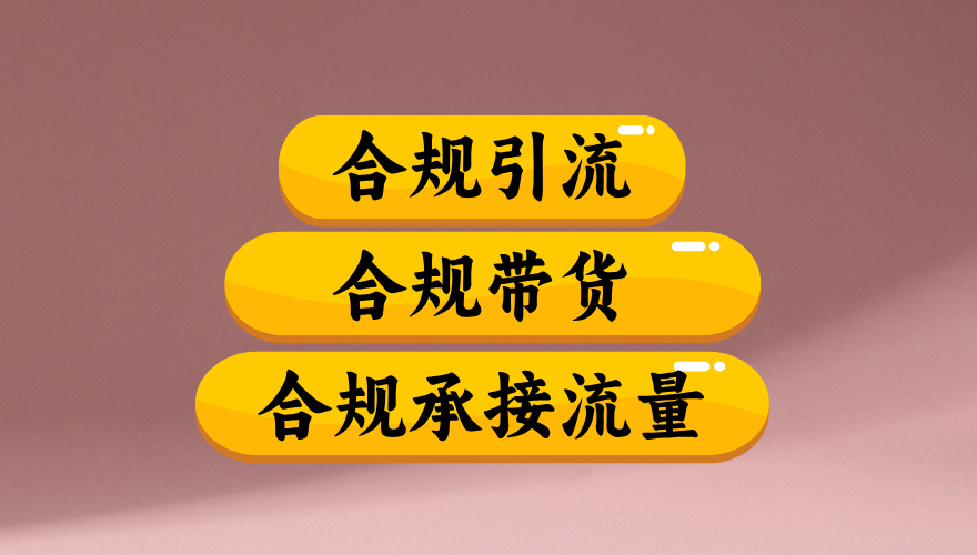 合规引流、合规并且高效地做带货、合规承接流量（揭秘）大圣网创吧-网创项目资源站-副业项目-创业项目-搞钱项目网创吧