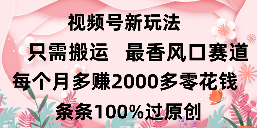 日入2000+，条条100%过原创，视频号最香风口赛道，小白轻松上手大圣网创吧-网创项目资源站-副业项目-创业项目-搞钱项目网创吧