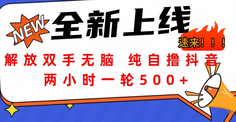 解放双手无脑 纯自撸抖音 两小时一轮500+大圣网创吧-网创项目资源站-副业项目-创业项目-搞钱项目网创吧