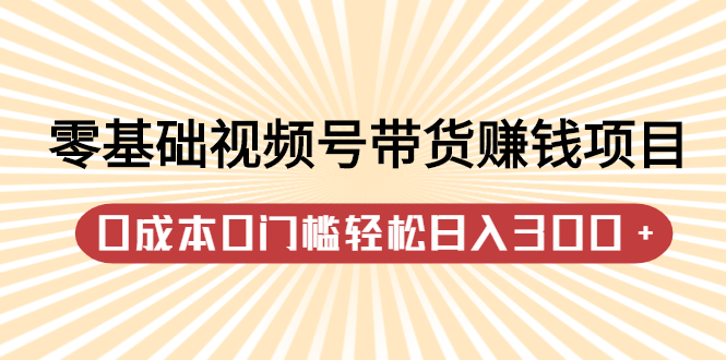 零基础视频号带货赚钱项目，0成本0门槛轻松日入300+【视频教程】大圣网创吧-网创项目资源站-副业项目-创业项目-搞钱项目网创吧