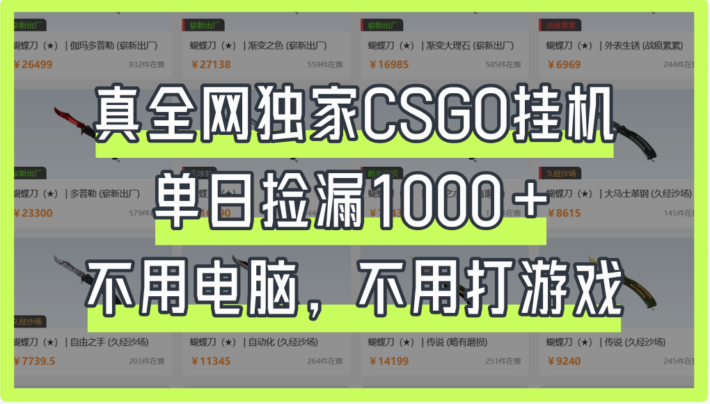 真全网独家CSGO挂机，单日捡漏1000+大圣网创吧-网创项目资源站-副业项目-创业项目-搞钱项目网创吧