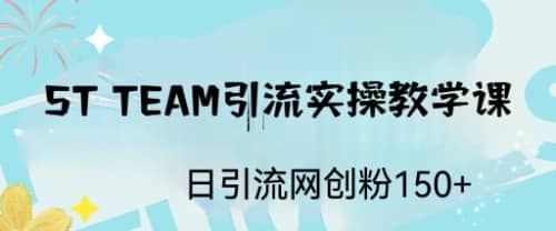 ST TEAM引流实操课，日引流网创粉100+大圣网创吧-网创项目资源站-副业项目-创业项目-搞钱项目网创吧
