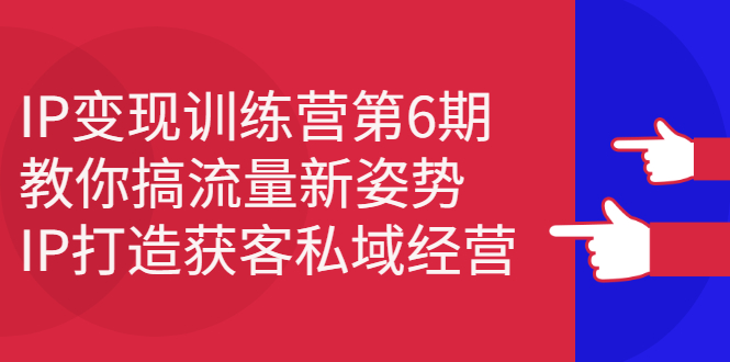 IP变现训练营第6期：教你搞流量新姿势，IP打造获客私域经营大圣网创吧-网创项目资源站-副业项目-创业项目-搞钱项目网创吧