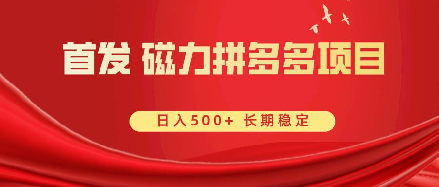 首发 磁力拼多多自撸  日入500+大圣网创吧-网创项目资源站-副业项目-创业项目-搞钱项目网创吧