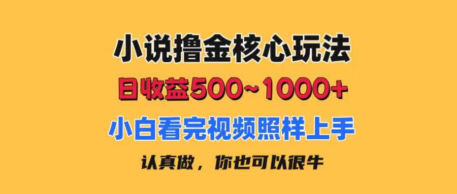 小说撸金核心玩法，日收益500-1000+，小白看完照样上手，0成本有手就行大圣网创吧-网创项目资源站-副业项目-创业项目-搞钱项目网创吧