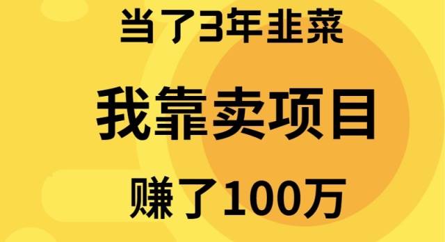 当了3年韭菜，我靠卖项目赚了100万大圣网创吧-网创项目资源站-副业项目-创业项目-搞钱项目网创吧