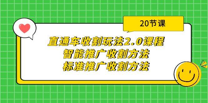 直通车收割玩法2.0课程：智能推广收割方法+标准推广收割方法（20节课）大圣网创吧-网创项目资源站-副业项目-创业项目-搞钱项目网创吧