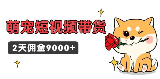 东哲日记·萌宠短视频带货，2天佣金9000+大圣网创吧-网创项目资源站-副业项目-创业项目-搞钱项目网创吧