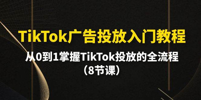 TikTok广告投放入门教程，从0到1掌握TikTok投放的全流程（8节课）大圣网创吧-网创项目资源站-副业项目-创业项目-搞钱项目网创吧