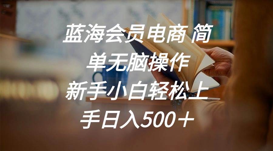 蓝海会员电商 简单无脑操作 新手小白轻松上手日入500＋大圣网创吧-网创项目资源站-副业项目-创业项目-搞钱项目网创吧