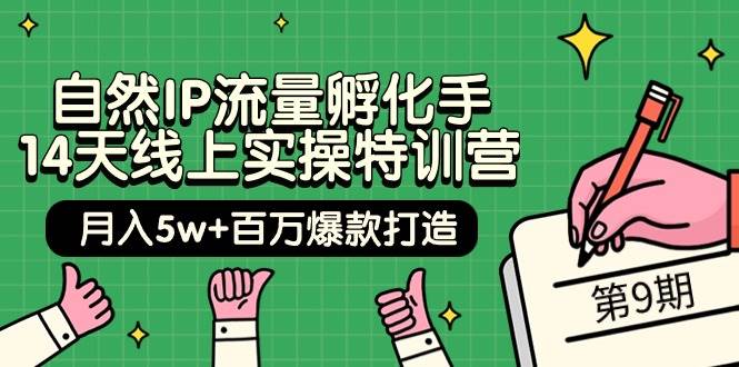 自然IP流量孵化手 14天线上实操特训营【第9期】月入5w+百万爆款打造 (74节)大圣网创吧-网创项目资源站-副业项目-创业项目-搞钱项目网创吧