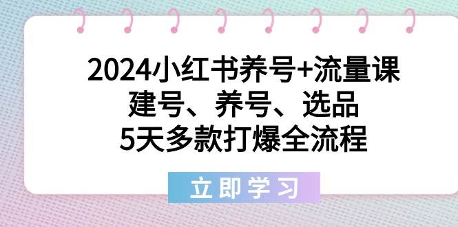 2024小红书养号+流量课：建号、养号、选品，5天多款打爆全流程大圣网创吧-网创项目资源站-副业项目-创业项目-搞钱项目网创吧