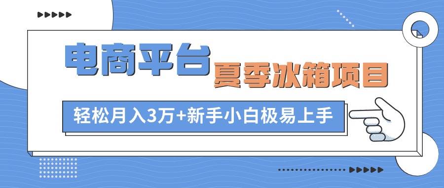 电商平台夏季冰箱项目，轻松月入3万+，新手小白极易上手大圣网创吧-网创项目资源站-副业项目-创业项目-搞钱项目网创吧