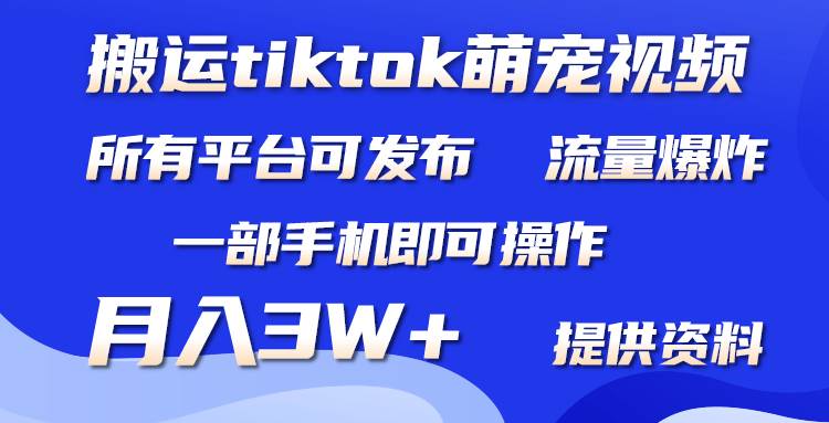 搬运Tiktok萌宠类视频，一部手机即可。所有短视频平台均可操作，月入3W+大圣网创吧-网创项目资源站-副业项目-创业项目-搞钱项目网创吧