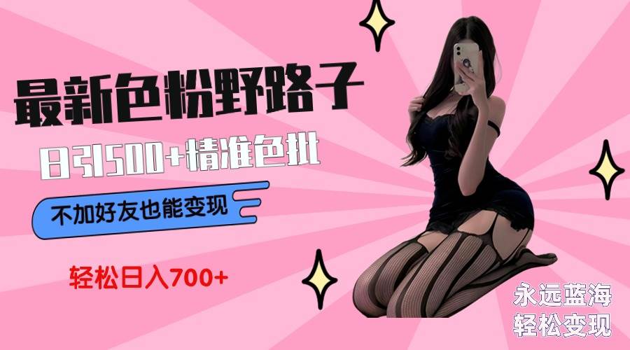 最新色粉变现野路子，日引500+老色批 可不加好友直接变现 小白轻松日入700+大圣网创吧-网创项目资源站-副业项目-创业项目-搞钱项目网创吧