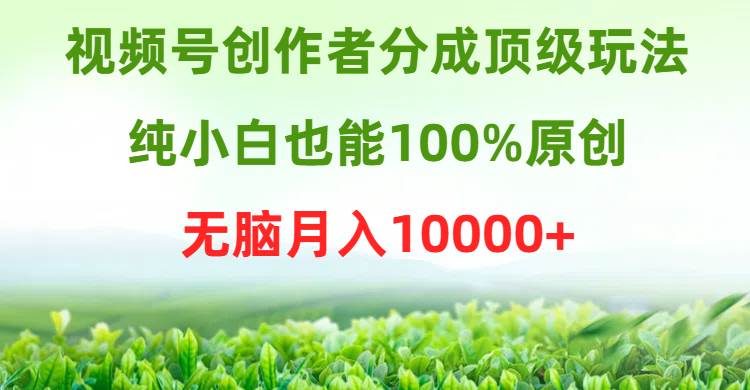 视频号创作者分成顶级玩法，纯小白也能100%原创，无脑月入10000+大圣网创吧-网创项目资源站-副业项目-创业项目-搞钱项目网创吧
